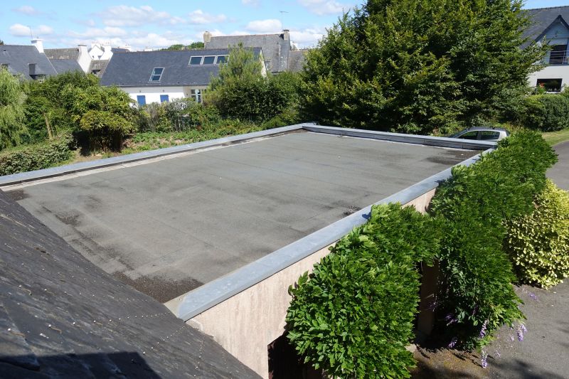 Roof Leak Detection Service